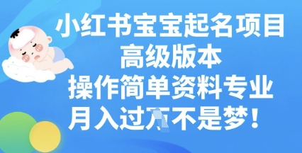 小红书宝宝起名项目高级版本，操作简单，资料专业，月入过W-悦商宝