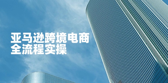 （14252期）亚马逊跨境电商全流程实操，教你从零开始，掌握店铺运营与广告技巧-悦商宝