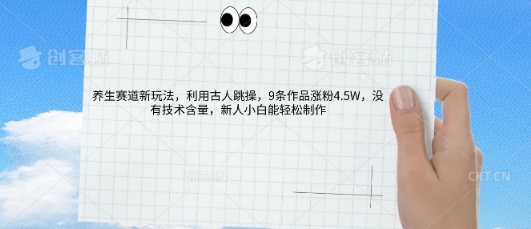 AI养生赛道新玩法，10条作品涨粉5.2W，操作简单，新人小白能轻松制作-悦商宝