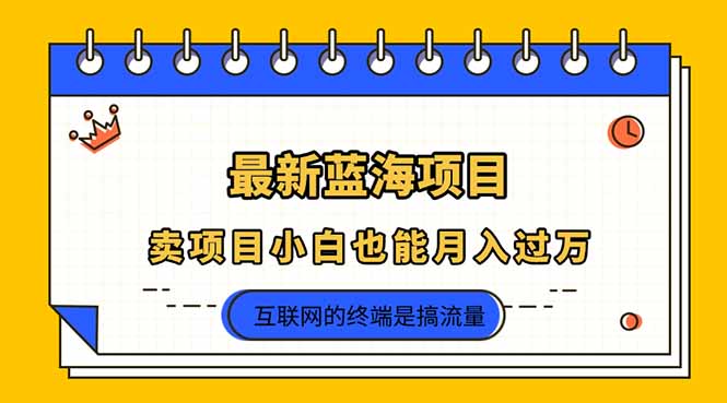 （14289期）2025年最新蓝海项目，卖项目小白也能月入过万-悦商宝