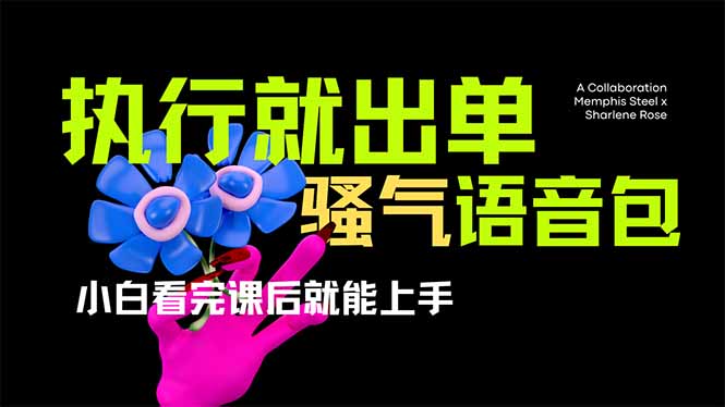 （14170期）爆火全网的开车导航骚气语音包,只要执行就出单，小白看完课程就能实操...-悦商宝