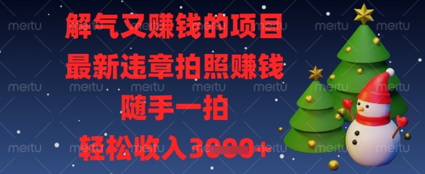 解气又挣钱的项目，最新违章拍照挣钱，随手一拍，轻松收入数张【揭秘】-悦商宝